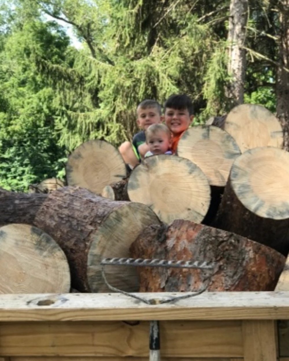Nathan's three young sons sitting on a load of freshly cut logs about ten years ago